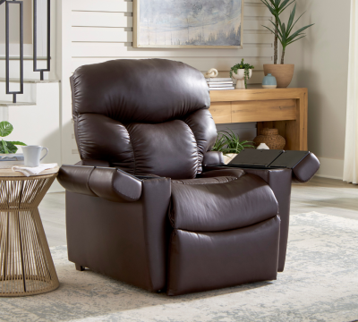 Home 2 Electric Lift Chairs