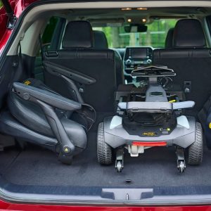 Buzzaround CarryOn HD, GB220