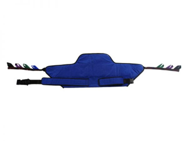 Sit to Stand Rental 2 Sit to Stand Rental